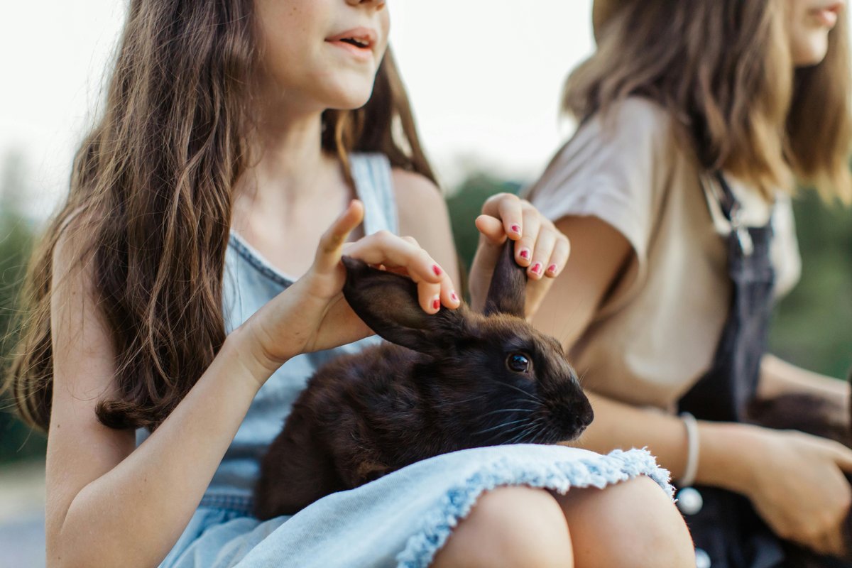 Rabbit owner