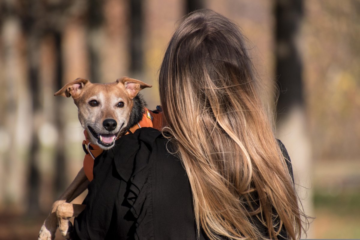 Happy woman carrying her smiling dog — pet owner using All Pet Card financing